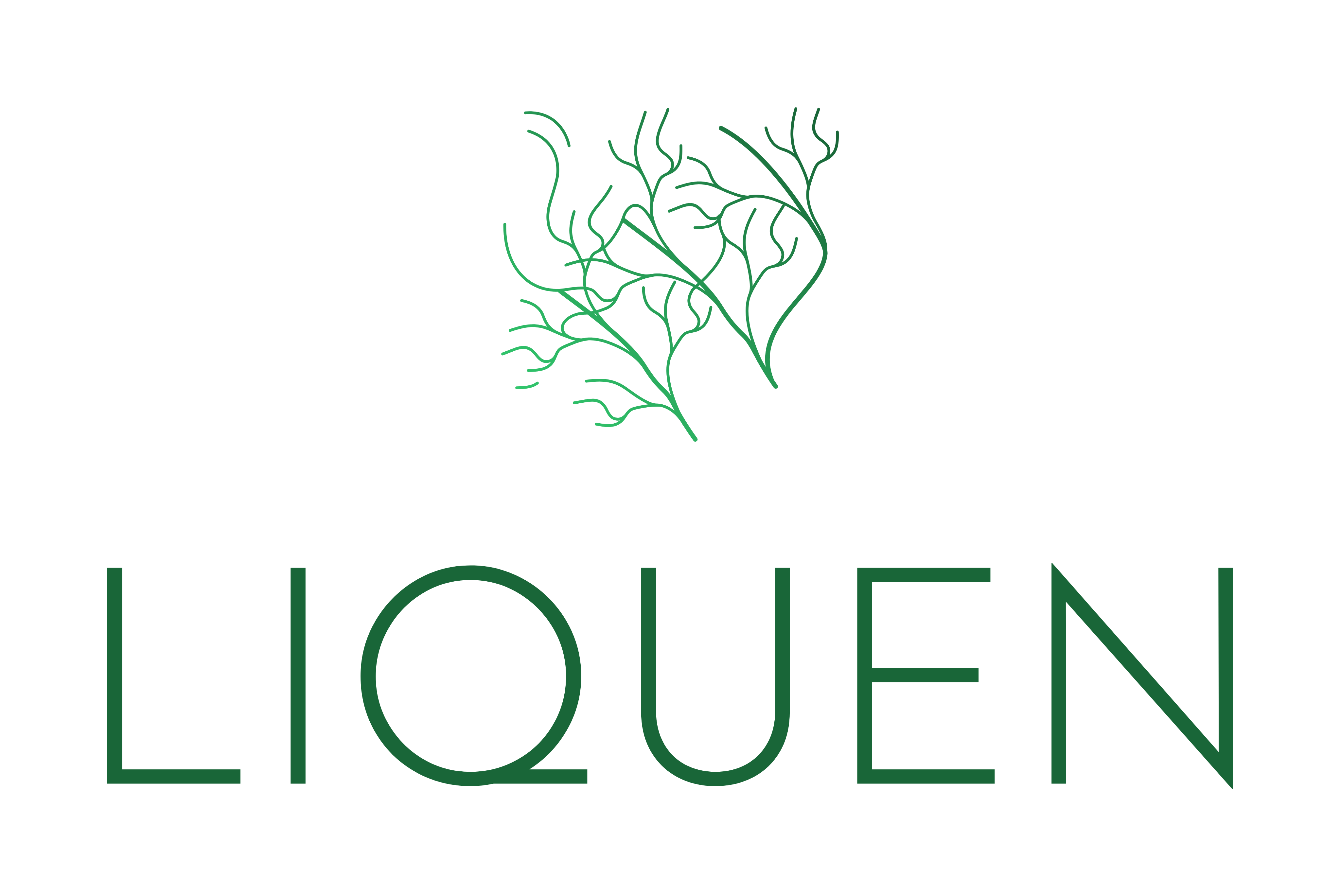 Liquen